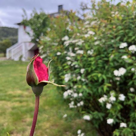 A Casina Casa Rural En Galicia Ourense Eksteriør billede