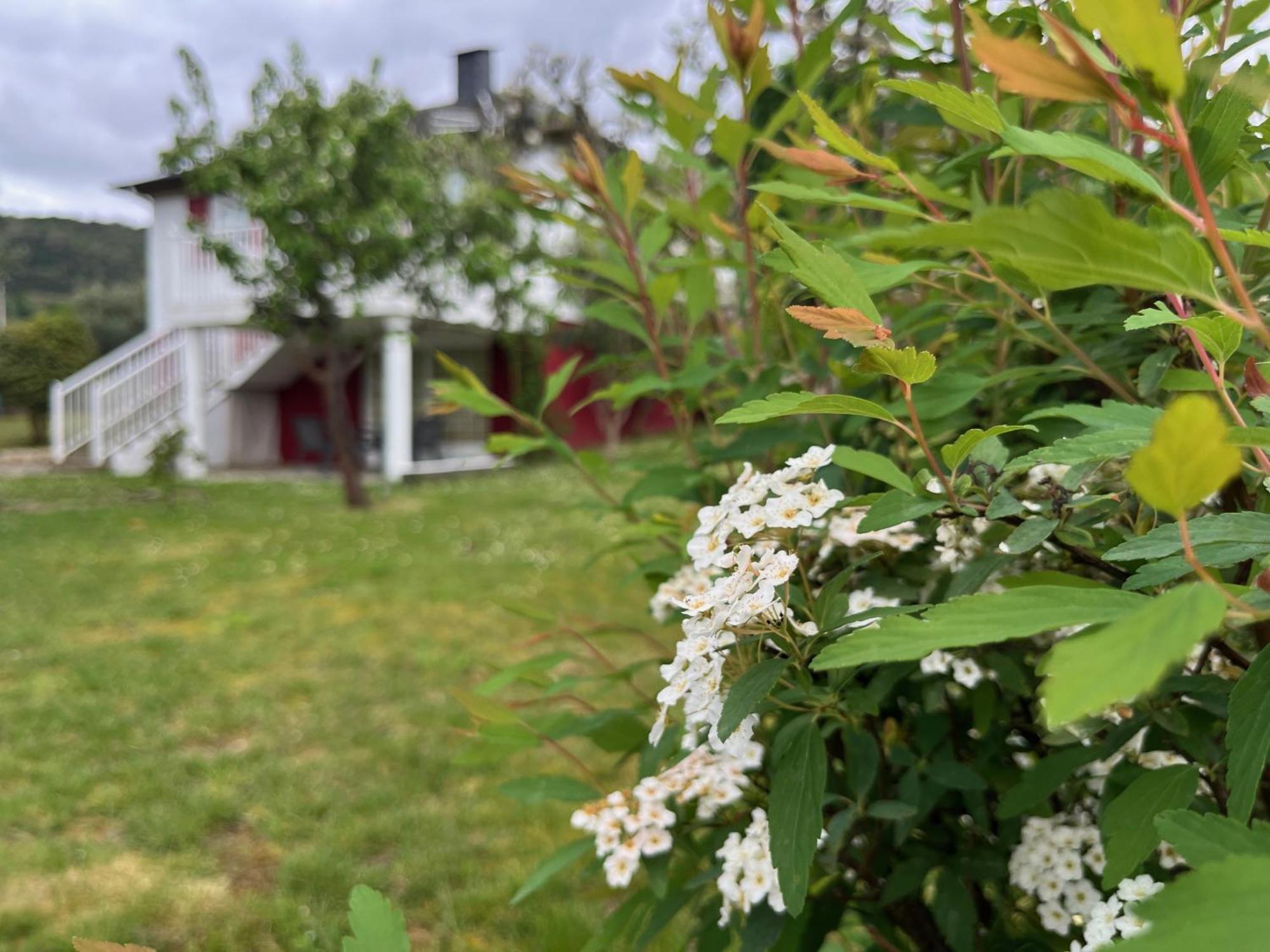 A Casina Casa Rural En Galicia Ourense Eksteriør billede